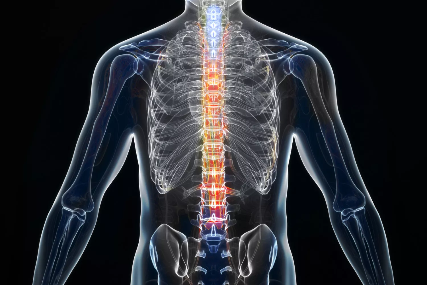 磁力共振(MRI)脊柱检查