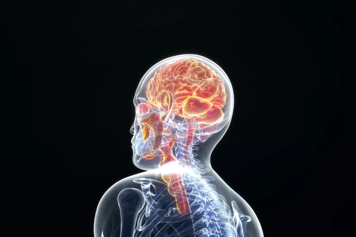 磁力共振(MRI)头部检查