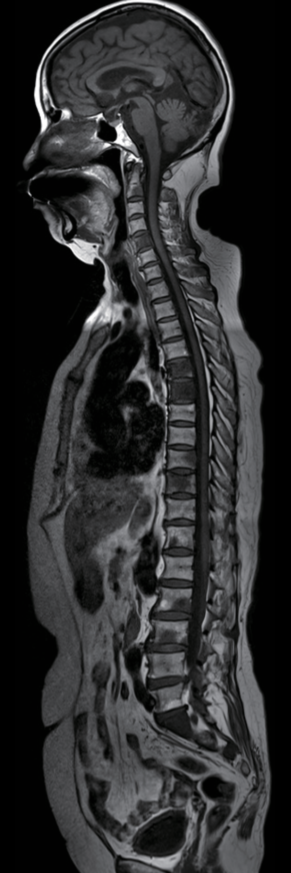 深圳福影綜合門診部