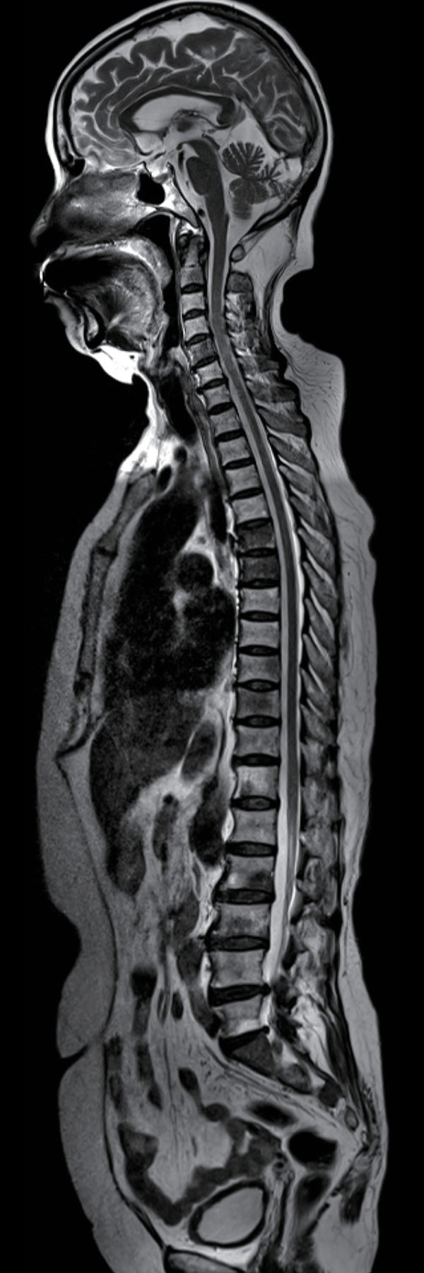 深圳福影綜合門診部
